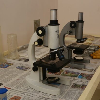 0f78ab2b-ad6a-451a-bfc2-ad1c43b3304c